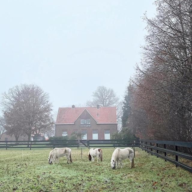 Hoeve De Snippert Groenlo Esterno foto